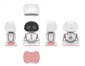 智能小型機(jī)器人銷售與服務(wù)咨詢，錢(qián)元供應(yīng)，計(jì)算機(jī)網(wǎng)絡(luò)工程施工與設(shè)計(jì)